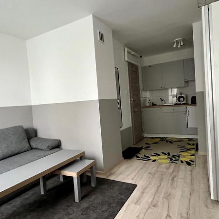 Mlawska 33 Apartment Rypin Bagian luar foto
