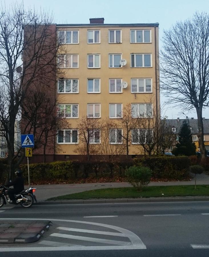 Mlawska 33 Apartment Rypin Bagian luar foto