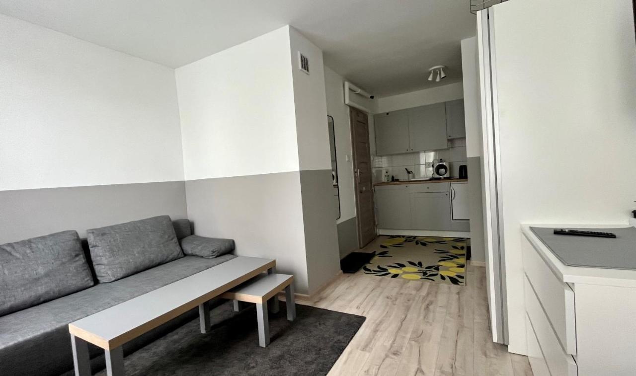 Mlawska 33 Apartment Rypin Bagian luar foto